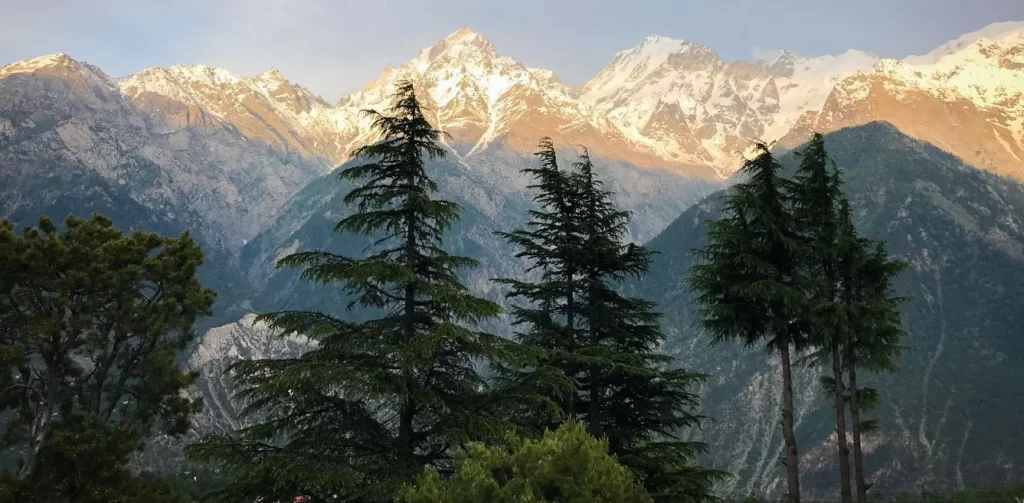 Top 6 Must-Visit Destinations in Himachal Pradesh