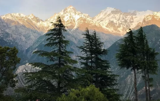 Top 6 Must-Visit Destinations in Himachal Pradesh