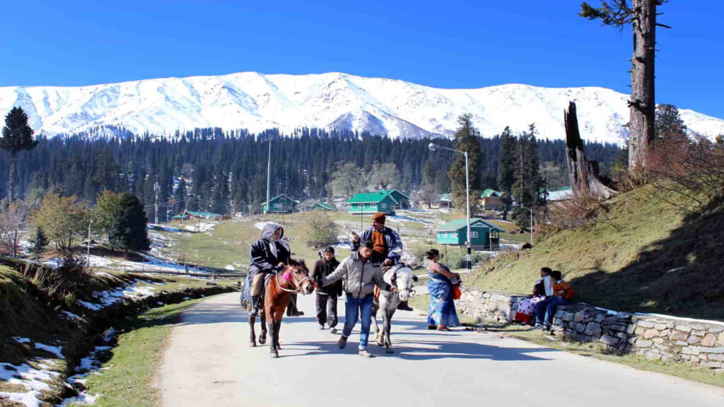 Kashmir