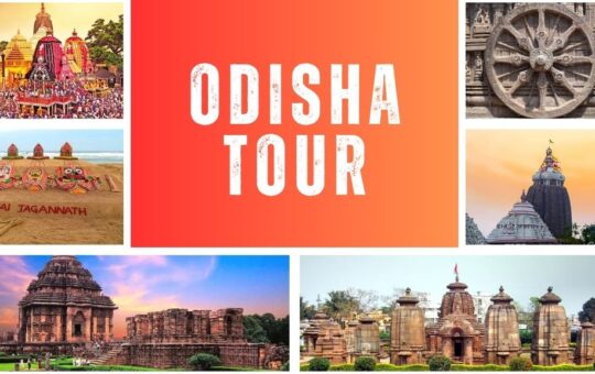 Book the Best Odisha Tour Packages Today