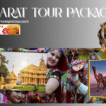 Gujarat Tour