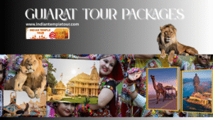 Gujarat Tour