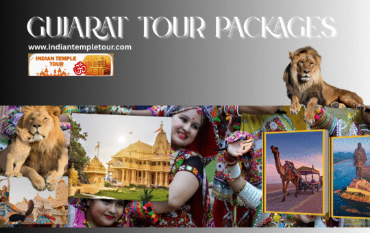 Gujarat Tour