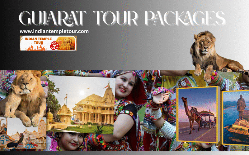 Gujarat Tour