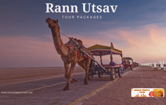 Rann Utsav Tour Package