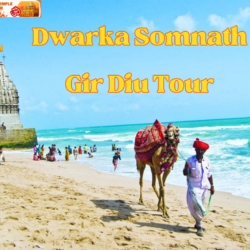 Dwarka Somnath Gir Diu Tour