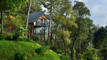 Best of Kerala with Treehouse Stay