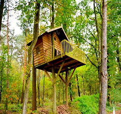 kerala-tree-house