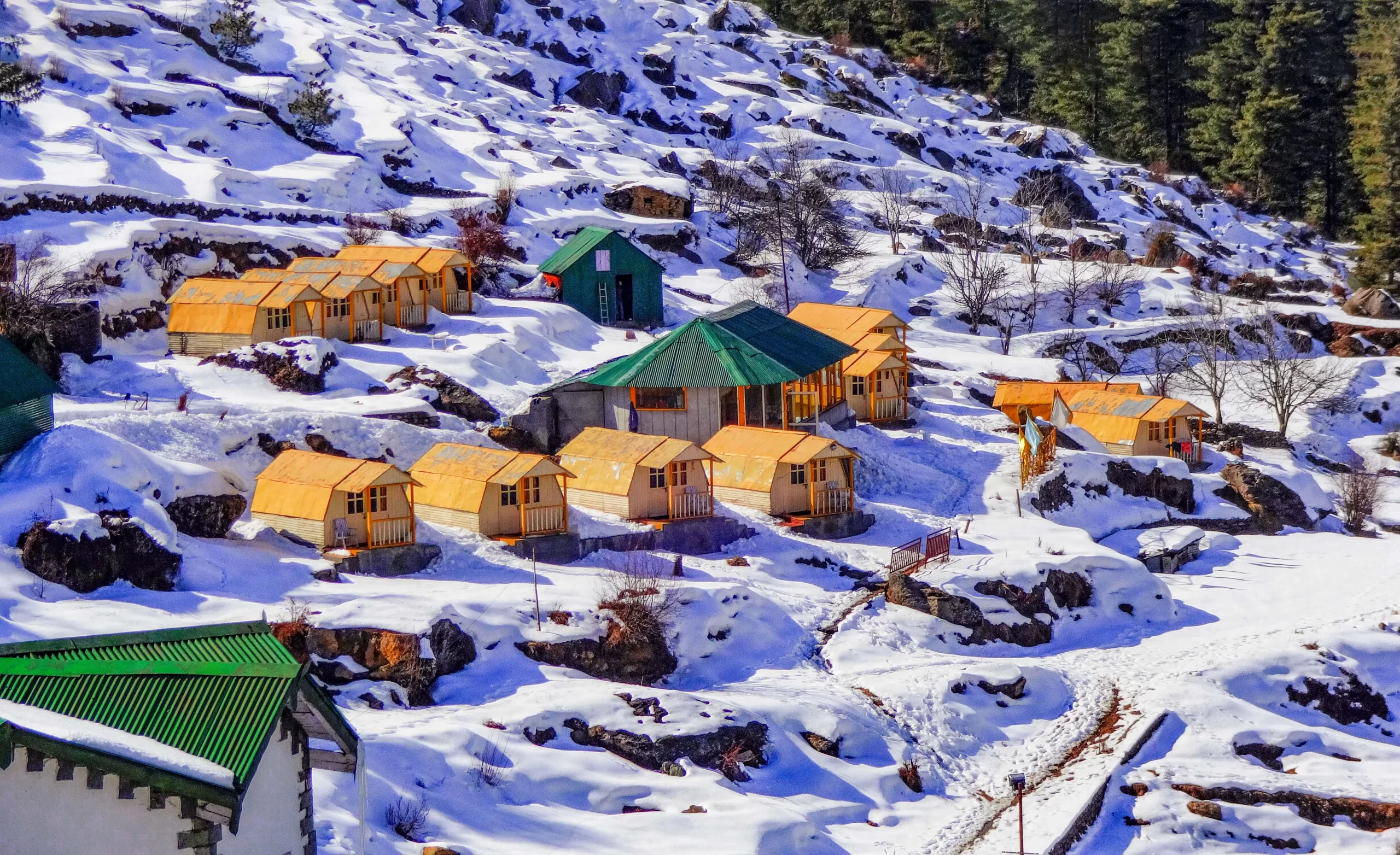 auli trip package from delhi