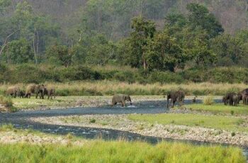 Delhi Mussoorie Corbett Nainital Trip