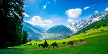 Kashmir Tour Packages From Nagpur
