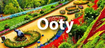 Ooty and Mysore Tour Packages