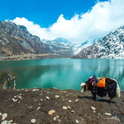 Sikkim Honeymoon Packages