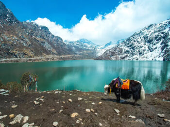 Sikkim Honeymoon Packages