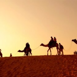 Rajasthan Family Tour Packages from Mumbai