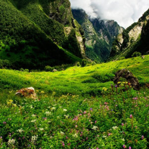 Chardham Package with valley of Flower