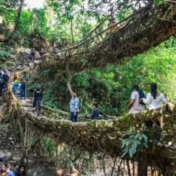 Meghalaya