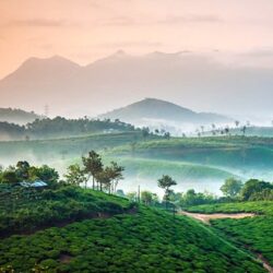 Wayanad Tour Packages