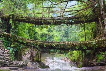 Double Decker Living Root Bridge Tour