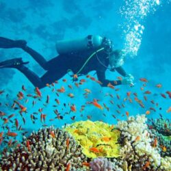 Best of Andaman Tour Package