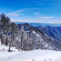 Nag Tibba Trek Tour Package