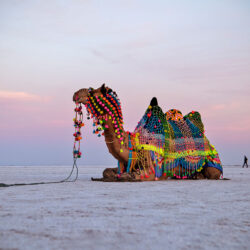Rann of Kutch Tour Package