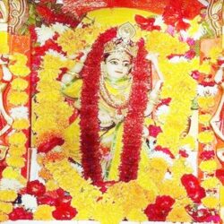 Pitambara Devi Temple Tour Package