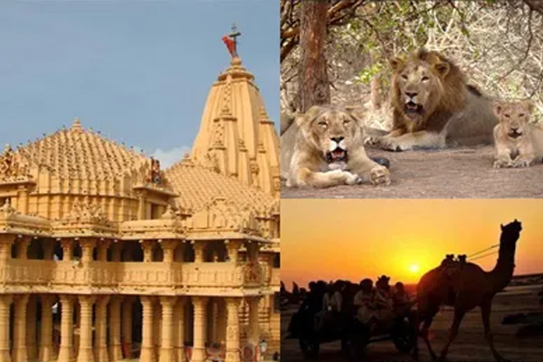 Gujarat Tour Packages from Dhanbad