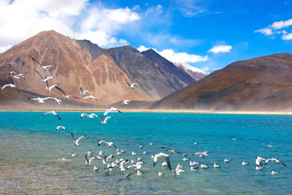 Leh Ladakh Tour Packages from Coimbatore