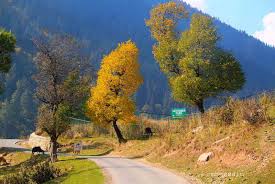 Amarnath Yatra Packages from Amritsar