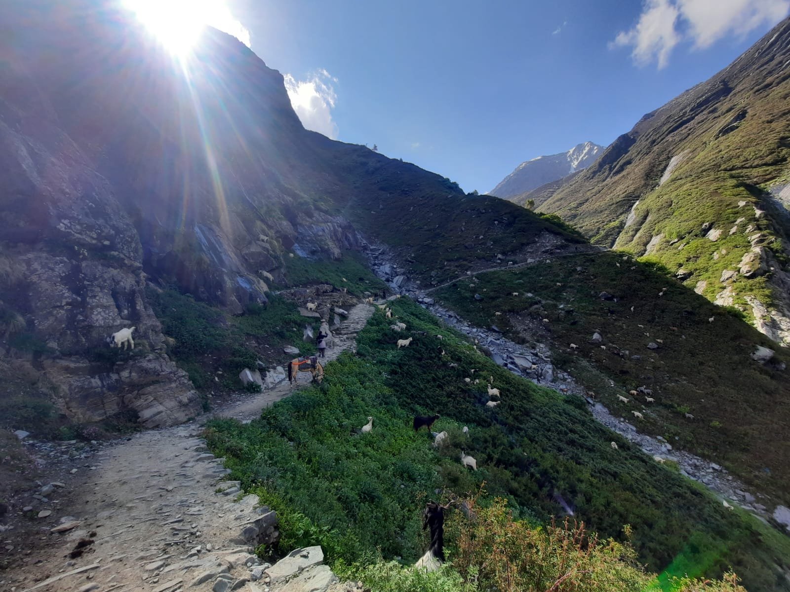 Kailash Manimahesh Yatra Package