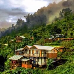 Darjeeling Lava Lolegaon Kalimpong Tour Package